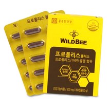 먹는프로폴리스 호주산 종근당 와일드 비 프로폴리스 500mg x 2박스