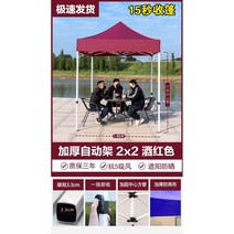 접이식 주차천막 천막 이동식창고 자동차 방수 가정용 텐트, 키높이 자동선반2*2 와인
