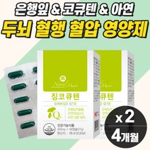 높은 혈압 보조제 활성산소 기억력 혈행 혈액 혈관 순환 개선 관리 코큐텐 징코 비타민 나토 식약청 고혈압 비타민 코엔자임 coq10 낮추는 영양제 다리 손 발 손가락 손끝 순환제