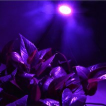 수경재배기 틔운미니씨앗 전열온상선 세바팜 스마트팜 풀레뜨 72 LEDs E27 led 식물 성장 빛 전체 스펙트럼, 01 32 LEDs_01 110V   1 PCS
