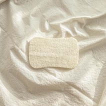 리브리아 친환경 천연수세미 제로웨이스트 주방 루파 수세미, 1, 1