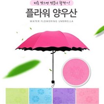 [Hongst]1+1비오면 벗꽃이 플라워 암막 양우산 1개구매시 무조건 같은색 2개배송