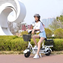 전동킥보드 경량전기킥보드 출퇴근킥보드 대리운전 전동휠 수입전동킥보드 전동스쿠터 충전킥보드 전기자전거, 옵션5 48V