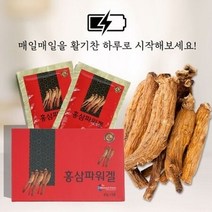 홍삼파워겔 (40g x 30p), 스피드컴119고양일산지점 1, 스피드컴119고양일산지점 본상품선택, 스피드컴119고양일산지점 본상품선택