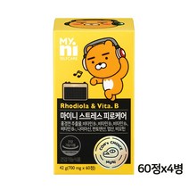마이니 스트레스 케어 비 홍경천 추출물 로디올라 로사빈 효능 고함량 비타민 B군 B1 B2 B6 B12 비오틴 나이아신 판토텐산 활력 피로회복 릴렉스 영양제 수험생 직장인, 단일상품4, 마이니 스트레스케어비 700mg*60정 (병포장)