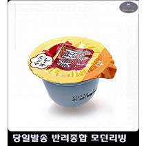 쏙 넣는 고양이 산책이나 외출시 주머니에 간식 수술후고양이사료 고양이사료파는곳