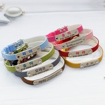 미소펫 인디 INDI 강아지 고양이 인식표 목줄, 블루, 1개