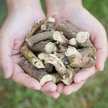 봉래 국산 고삼 뿌리 200g/한방/건강/약초/약재 식품 > 건강식품 전통건강식품 기타전통건강식품/한방재료, 200g, 1, 200g” class=”wr-img”></a></div></p></div></p></div></p></div><div class=