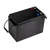 인산철배터리 12V 24V 48V 200Ah 271Ah 302Ah 256V 배터리 팩에 대 한 리튬 철 인산 염 상자, 02 12.8V 300Ah only BOX, 02 12.8V 300Ah only BOX