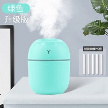 가정용 USB 소형 정음 침실 임신 산부 비어 온열가습기, T06-그린리터 급타입 대체 면봉 5뿌리