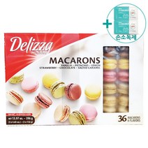 빅마켓 델리짜 마카롱 396G 36PCS [아이스박스+드라이아이스] + 더메이런손소독제
