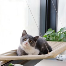 고양이 창문 창틀 윈도우 유리 흡착형 해먹 캣타워, 창문해먹