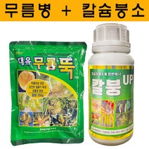 대유 무름뚝250g + 칼붕업500ml - 배추 무 고추 상추 마늘 양파 무름증상 병 칼슘 붕소 비료 싹 칼슘부족 증상, 1세트