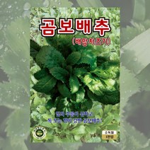 곰보배추씨 1000립 곰보배추 배암차즈기 씨앗 대장 KS종묘, 1개