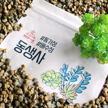 동생사 화분 화초 분갈이흙 분재 야생화 화분갈이 배수층 세립 소립 중립 ss, 중립(6~10mm) 4L, 4000ml, 1개