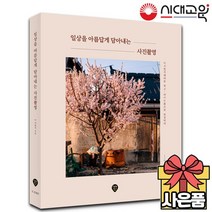 일상을 아름답게 담아내는 사진촬영