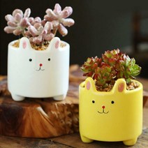 컬러 토끼 미니 화분(공화분) 작은 꽃화분, 하늘색