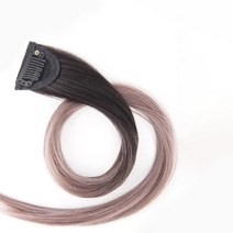 일월전빵 세트 투톤 그라데이션 헤어 피스 붙임머리 부분가발 브릿지 컬러피스 옴브레 50cm B-W001, 5개, 애쉬브라운