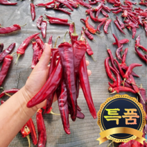 22년 해남 건고추 햇고추 해남 홍고추, 해남 햇 홍고추 10kg