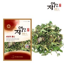 자애인 국산 대계초 600g 엉겅퀴, 단품
