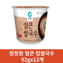 청정원 얼큰 컵쌀국수 92gx12개, 12개 1세트