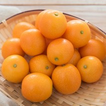 [나봉마켓] 새콤달콤 한입에 쏙 제주 금귤 낑깡, 1box, 1kg