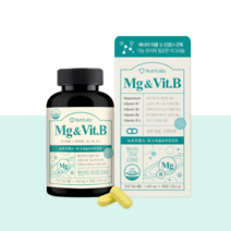 마그비 마그미 마그네슘정 고함량 산화 마그네슘 450mg 비타민비군 마그네비 성장기 어린이 청소년 임산부 수유부