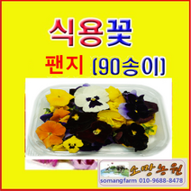 G(소망)먹는꽃/식용꽃 90송이(약30송이 3팩)/팬지꽃, 3개