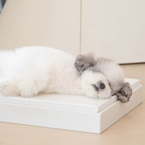 [대리석아빠] 냉매제 10시간지속! 강아지 고양이 애견 대리석 대용량 아이스팩 쿨매트, 세트(대) 대리석 + 받침대 + 아이스팩2