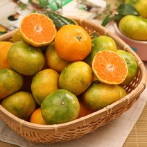[제주향기] 고당도 하우스 제주 감귤(로얄), 2kg, 1개