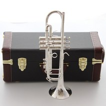 바하 트럼펫 Bach Trumpet LT190S1B Stradivarius Bb