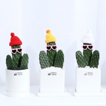 [팜스테리어] 만세 선인장 키우기 데코 포함 4종, [Small] V형화분+쇼핑백+문구