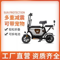 소형 다목적 전기차, 계약금 100대, 15A