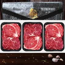1등급 농협 한우 등심 세트 구이용 총1.1kg 한우선물세트, 사또한우4호