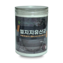 LGG 유산균 3세대 엘지지 신바이오틱스 분말 가루 포스트바이오스틱 신 프리 바이오틱스 프락토올리고당 여성 남성 온가족 장내유익균, 엘지지 유산균_350g x 2통