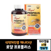 캐나다 royal 프로폴리스 180캡슐 효능 효과 복용법 먹는법 30대 40대 50대 60대 남자 여자