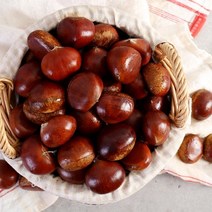 다농이네 부여 햇 알밤 4kg(대), 03.알밤 4kg 대, 상세설명 참조
