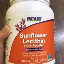 나우푸드 썬플라워 레시틴 lecithin 분말 한개