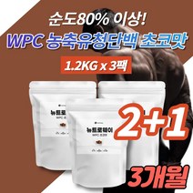 코스트코 가성비 단백질 보충제 파우더 벌크업 헬린이 프로틴 헬스 보조제 초코맛 포대 농축 유청 단백질 미국 WPC 아미노산 비타민 미네랄 스테비아, 3개, 1200g, 3개