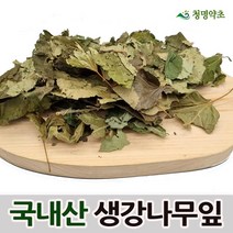 생강나무잎(150g)-국내산