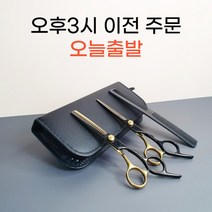 가정용 머리 미용 숱가위 음모 숱치기 숱치는 사사끼 커트 가위