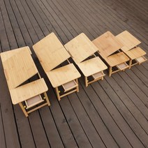데이빌트레이 접이식 베드 트레이 노트북 각도조절 테이블 좌식 좌탁 탁자, CNT002(12인치)