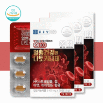 혈행건강 나토키나제 영양제 약 ﻿1개월 혈액 순환 혈관 음식 효능 콜레스테롤 청소 낫또, [10%할인] 3박스 / 3개월분