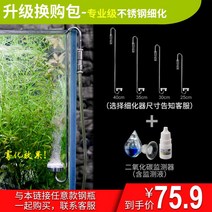 화학이탄 고압 자작 이탄 발생기 세트 수초 어항 CO2, 직업적인 급료 스테인리스 개선 + CO2 모니터