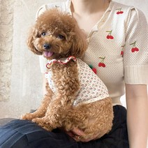 루페루페 강아지 프릴 체리 나시티 개플룩 커플 옷 XS-XL, 보호자옷, 네이비