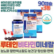 약 9개월 루테인 마리골드꽃 베타카로틴 비타민에이 면역력 눈건강 망막 빌베리 추출물 50대 필수 영양제 정제어유 대두레시틴 직장인 필수영양소 미네랄 복합제 복합영양제 LUTEIN