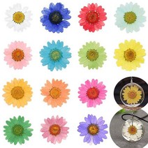 짤순이 세탁 12 Pcs 에폭시 수 지 던 트 목걸이 쥬얼리 공예 DIY 원룸 대용량, blue