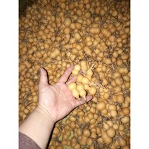 조롱박 바가지 미니 표주박 전통공예품 장식소품 재료, 약 4-6cm