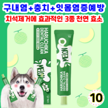 펫생각 하루치카 덴탈크린 치약 메론향 맛 강아지 치석 구취 구내염 제거 메론향 맛, 10개