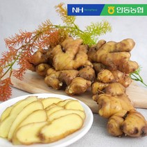 [더조은푸드] 안동농협 씻어나온 세척 생강 1kg, 세척생강 10kg